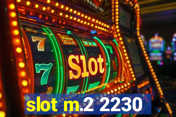 slot m.2 2230