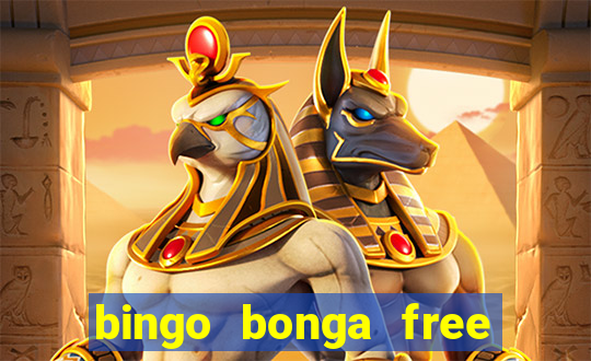 bingo bonga free spins 2023