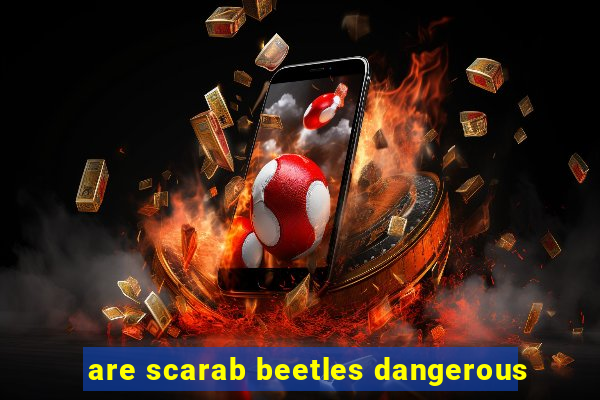 are scarab beetles dangerous