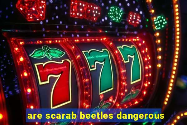 are scarab beetles dangerous