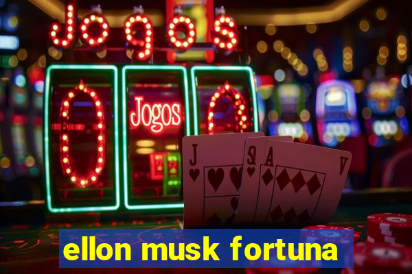 ellon musk fortuna