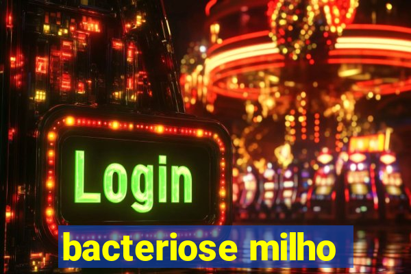 bacteriose milho