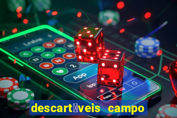 descart谩veis campo grande rj