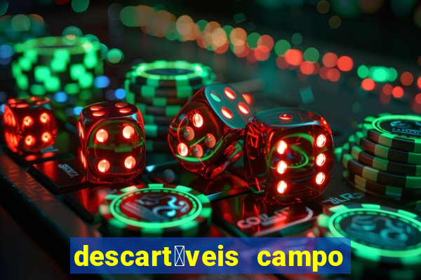 descart谩veis campo grande rj