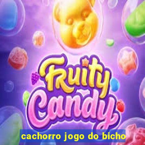 cachorro jogo do bicho