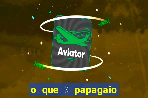 o que 茅 papagaio de pirata