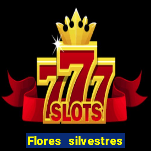 Flores silvestres brasileiras 25