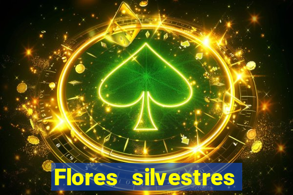 Flores silvestres brasileiras 25