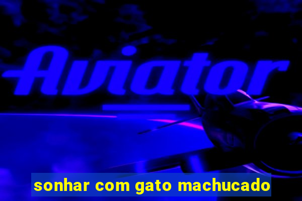 sonhar com gato machucado