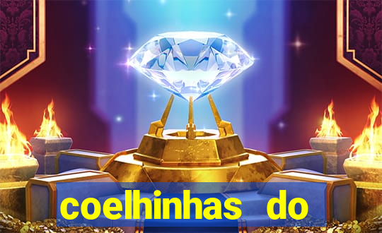 coelhinhas do brasil site