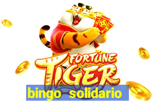 bingo solidario como organizar