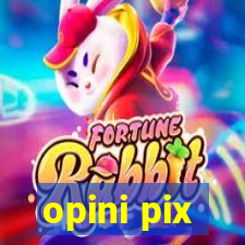 opini pix