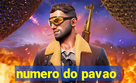 numero do pavao