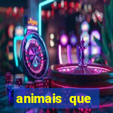 animais que produzem l茫