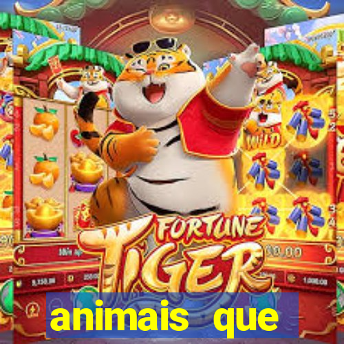 animais que produzem l茫