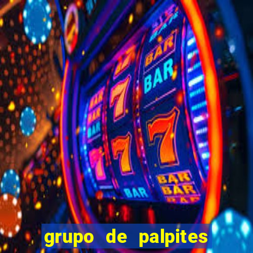 grupo de palpites de futebol whatsapp