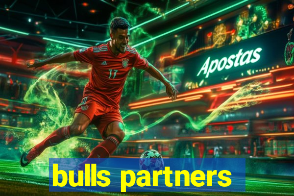 bulls partners