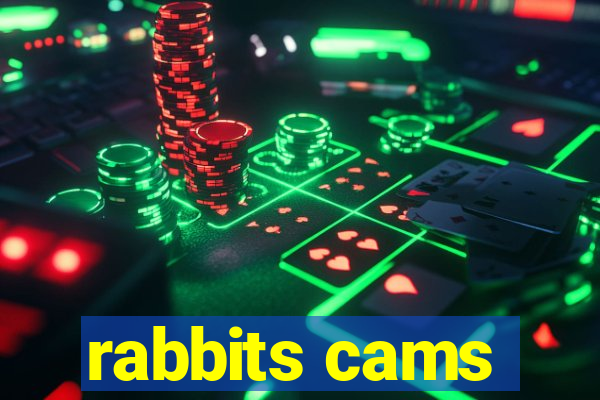 rabbits cams