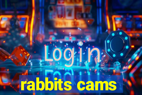 rabbits cams