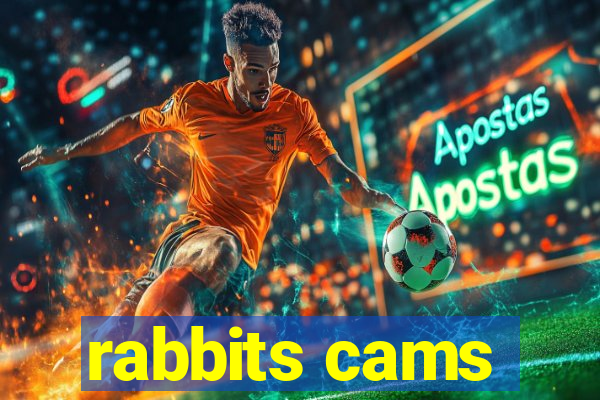 rabbits cams