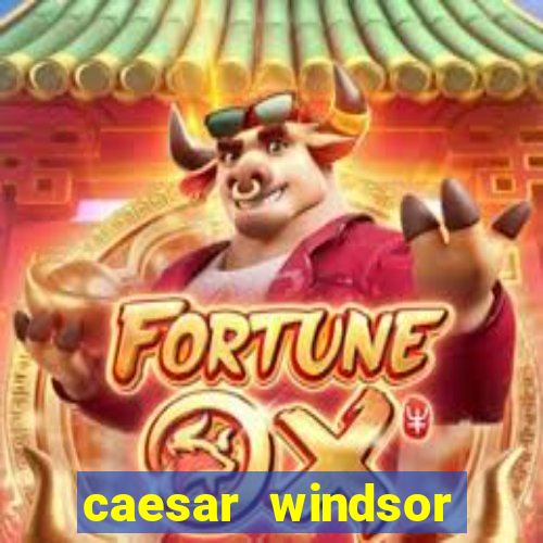 caesar windsor casino hotel