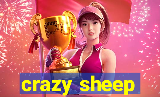 crazy sheep