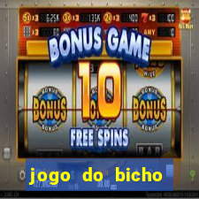 jogo do bicho feira de santana