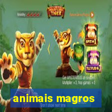 animais magros