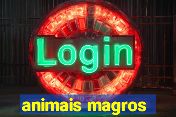 animais magros