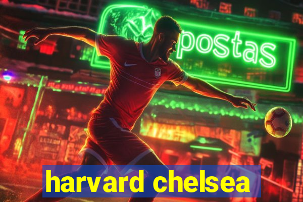 harvard chelsea