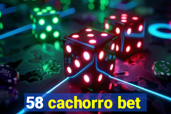 58 cachorro bet