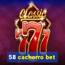 58 cachorro bet