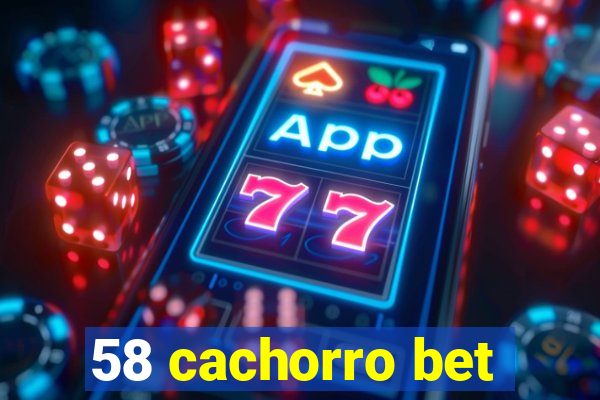 58 cachorro bet