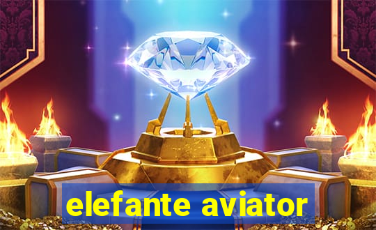 elefante aviator