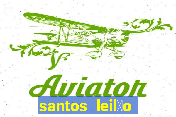 santos leil茫o passo fundo