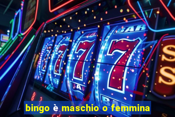 bingo è maschio o femmina