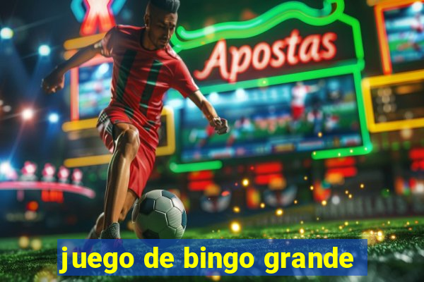 juego de bingo grande