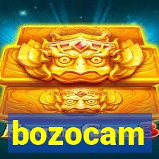 bozocam