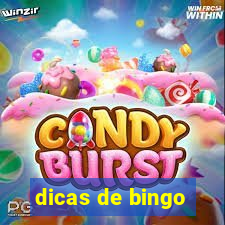 dicas de bingo