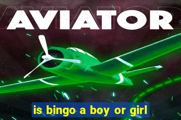 is bingo a boy or girl