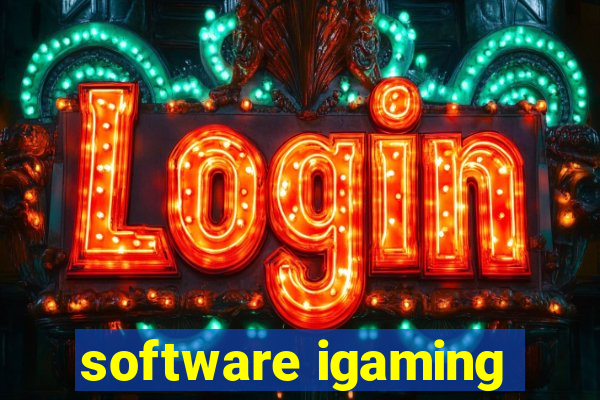 software igaming