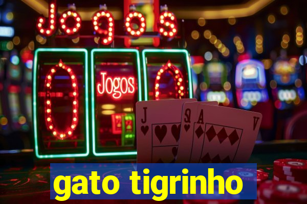 gato tigrinho