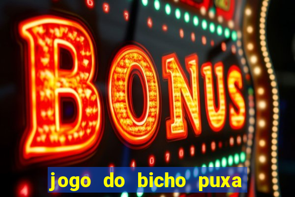 jogo do bicho puxa de dona maria