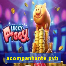 acompanhante pvh