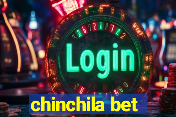 chinchila bet