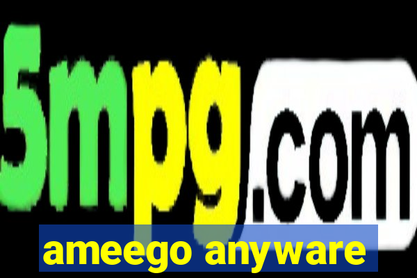 ameego anyware