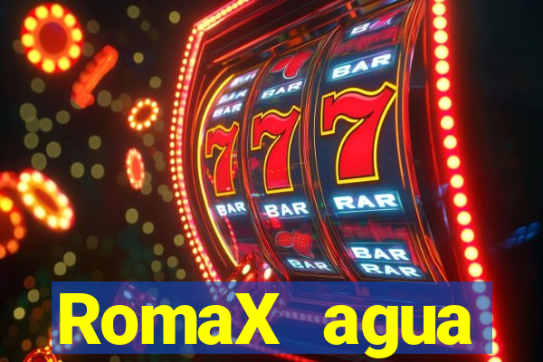 RomaX agua sanitaria fispq agua sanitaria romax