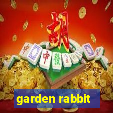 garden rabbit