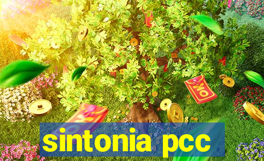 sintonia pcc