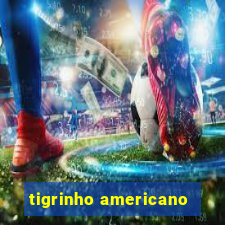 tigrinho americano